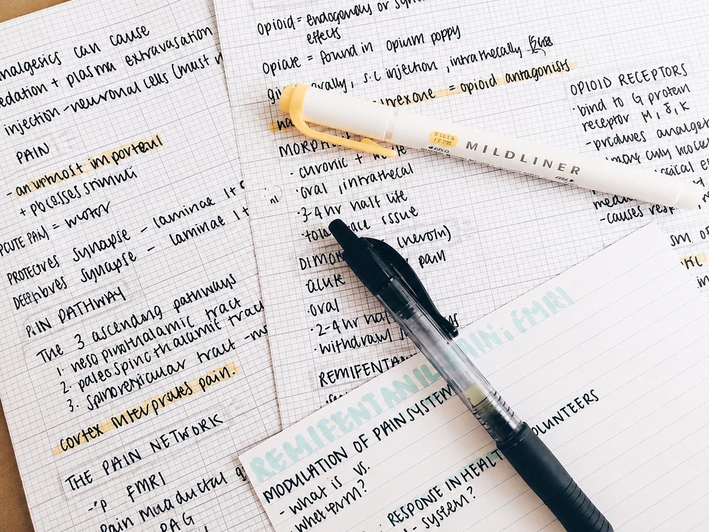Tips Membuat Catatan Kuliah yang Efektif
